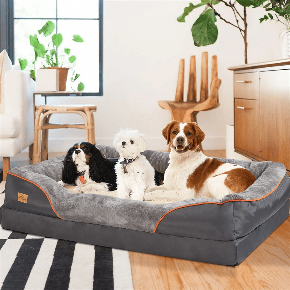 Dogs sitting on a pet bed