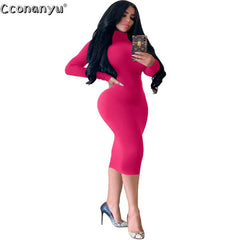 Turtleneck Midi Dress Women Black Long Sleeve Skinny Bodycon Party Clubwear Autumn Winter Fashion