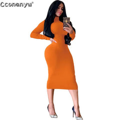 Turtleneck Midi Dress Women Black Long Sleeve Skinny Bodycon Party Clubwear Autumn Winter Fashion