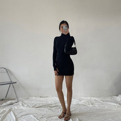 Turtleneck Rib Knit Mini Dress Women Solid Skinny Warm Casual Elegant Fashion Dress