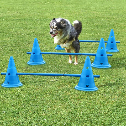 Dog navigating an agility course with blue cones on a grassy field