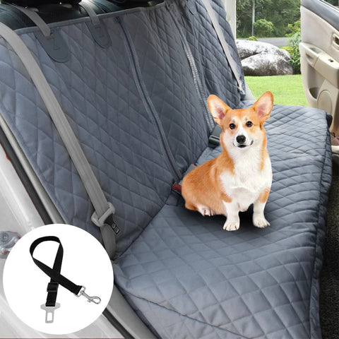 Dog sitting on a car seat cover with a leash attachment, inside a vehicle.