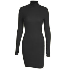 Turtleneck Rib Knit Mini Dress Women Solid Skinny Warm Casual Elegant Fashion Dress