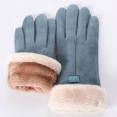 Winter Touchscreen Gloves blue