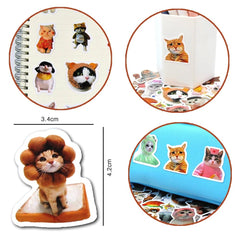 Collage of cat-themed stickers on various surfaces with measurements.