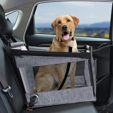 Dog sitting in a car seat cover with a view of the outdoors