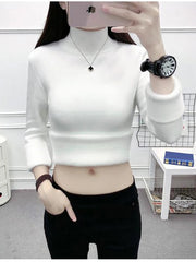 High Turtleneck Sweater Women Thermal Fleece Lined Long Sleeve Soft Thick Warm Jumper Winter Fashion