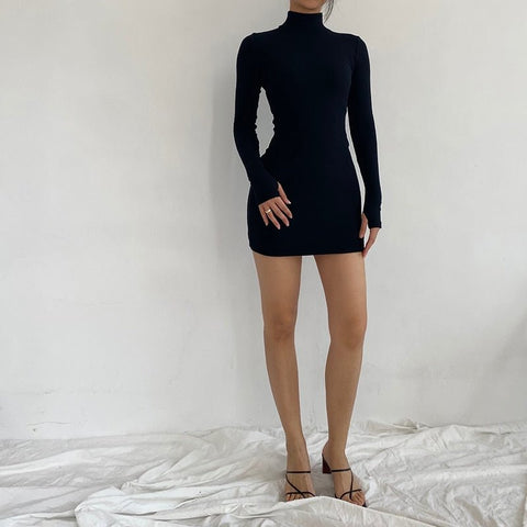 Turtleneck Rib Knit Mini Dress Women Solid Skinny Warm Casual Elegant Fashion Dress