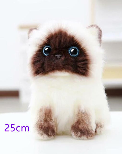 Siamese Cat Plush Toy Kids Realistic Stuffed Cute Doll Pet Soft Comfort Gift Boys Girls