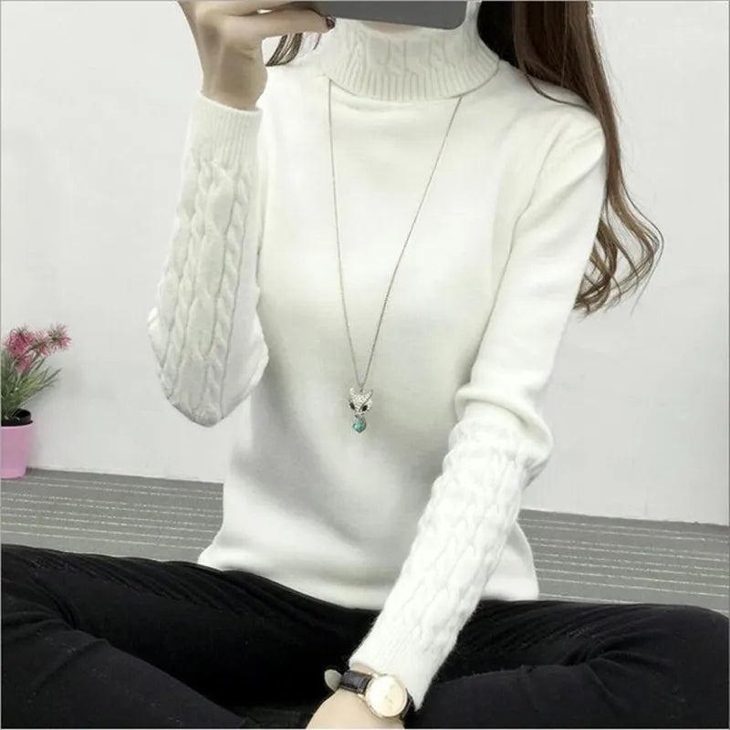 Thick Warm Women's Turtleneck Sweater Knit Long Sleeve Pullover