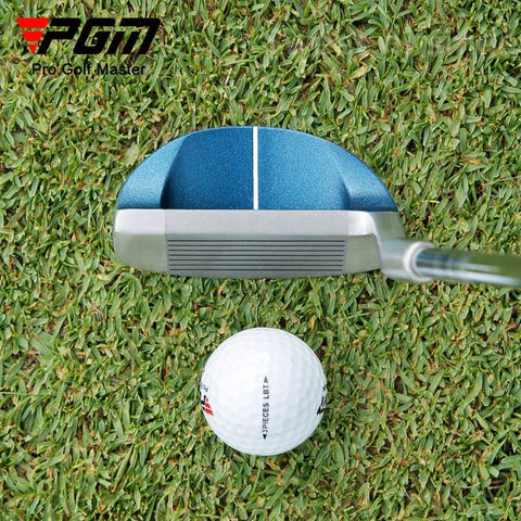 Golf putter and ball on grass with Pro Golf Master logo