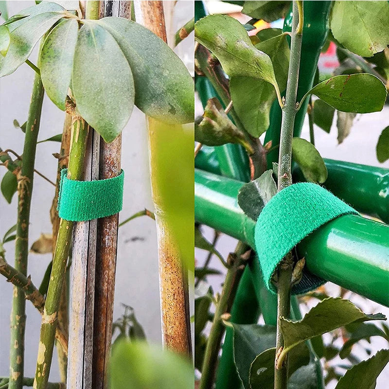 3-Rolls Green Garden Twine Plant Ties Nylon Plant Bandage Garden Hook Loop Bamboo Cane Wrap Support Garden Accessories & Tools