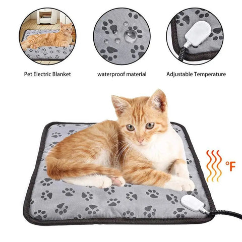 Cat lying on a pet electric blanket with features highlighted.