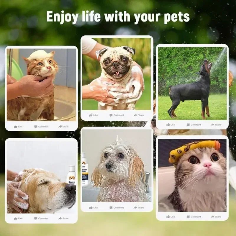 Collage of pets being bathed with text 'Enjoy life with your pets' on a green blurred background