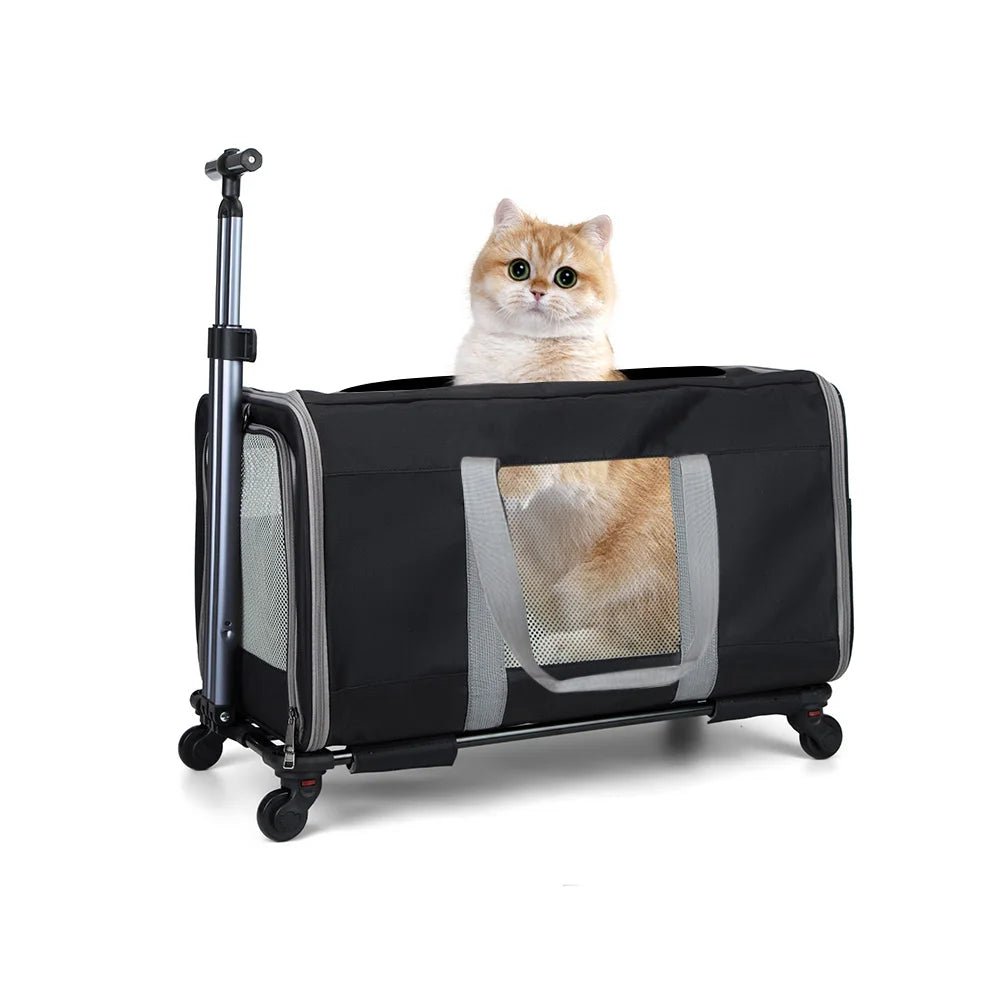 Cat inside a black pet travel crate with wheels on a white background