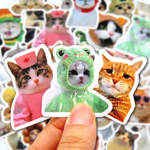 10/50/100pcs Funny Cat Stickers Cartoon Cute Decals Toy Stationery for Guitar Phone Bicycle Laptop Luggage Car Graffiti Kids Stickers