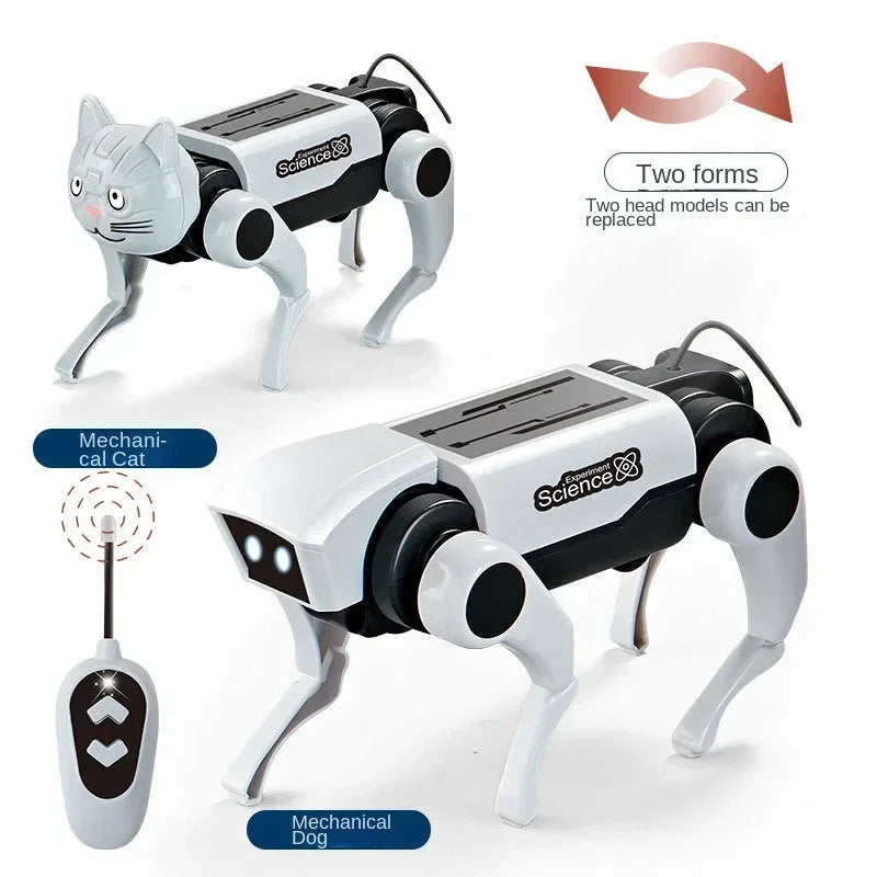 Toy robot cat and dog with remote control on a white background