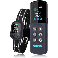 Dog training collar with remote control and digital display on a white background