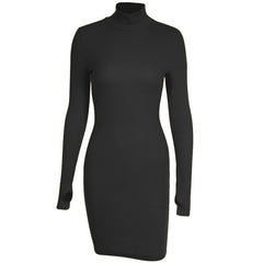 Sexy Rib Knit Warm Mini Dress Solid Turtleneck Skinny Mini Dress