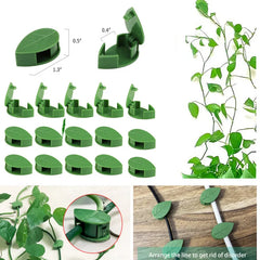 Invisible Wall Climbing Plant Fixture Rattan Vine Bracket Fixed Buckle Leaf Clips Traction Holder Garden