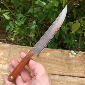 67-ply Forged Damascus Steel Steak Blade Sharp Peeling Fruit Knife Mongolian Handhandle Boning Knife Household Kitchen Knife