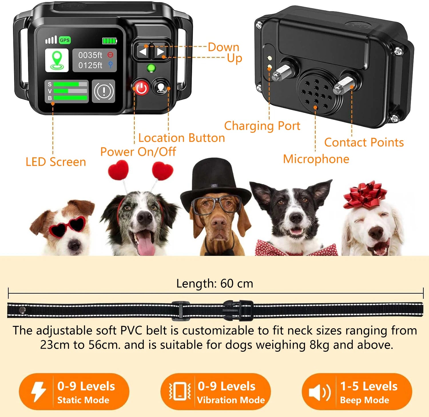 Dog training device with labeled parts and features, including dogs wearing accessories.