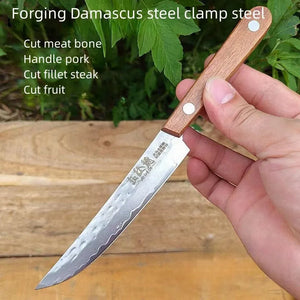 67-ply Forged Damascus Steel Steak Blade Sharp Peeling Fruit Knife Mongolian Handhandle Boning Knife Household Kitchen Knife