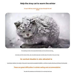 Cat covered in snow with text about helping stray cats through winter