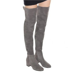 Gray suede knee-high boots on a white background