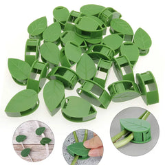 Invisible Wall Climbing Plant Fixture Rattan Vine Bracket Fixed Buckle Leaf Clips Traction Holder Garden