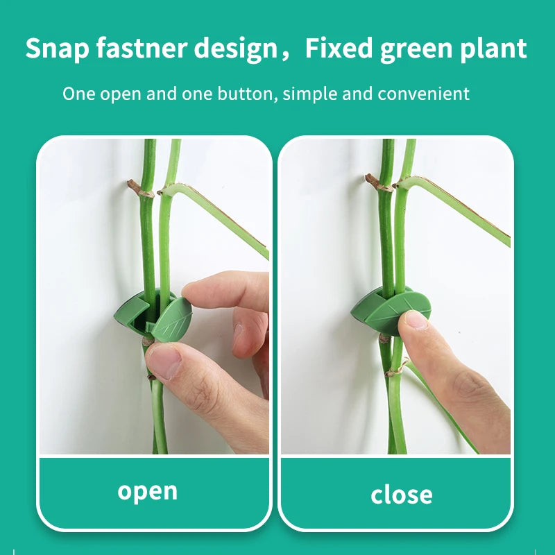 Invisible Wall Climbing Plant Fixture Rattan Vine Bracket Fixed Buckle Leaf Clips Traction Holder Garden