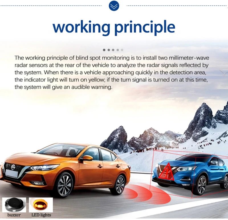 Blind Spot Monitoring System
