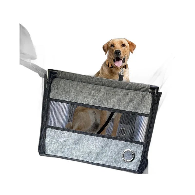 Dog sitting in a pet car seat with a gray mesh backrest on a white background
