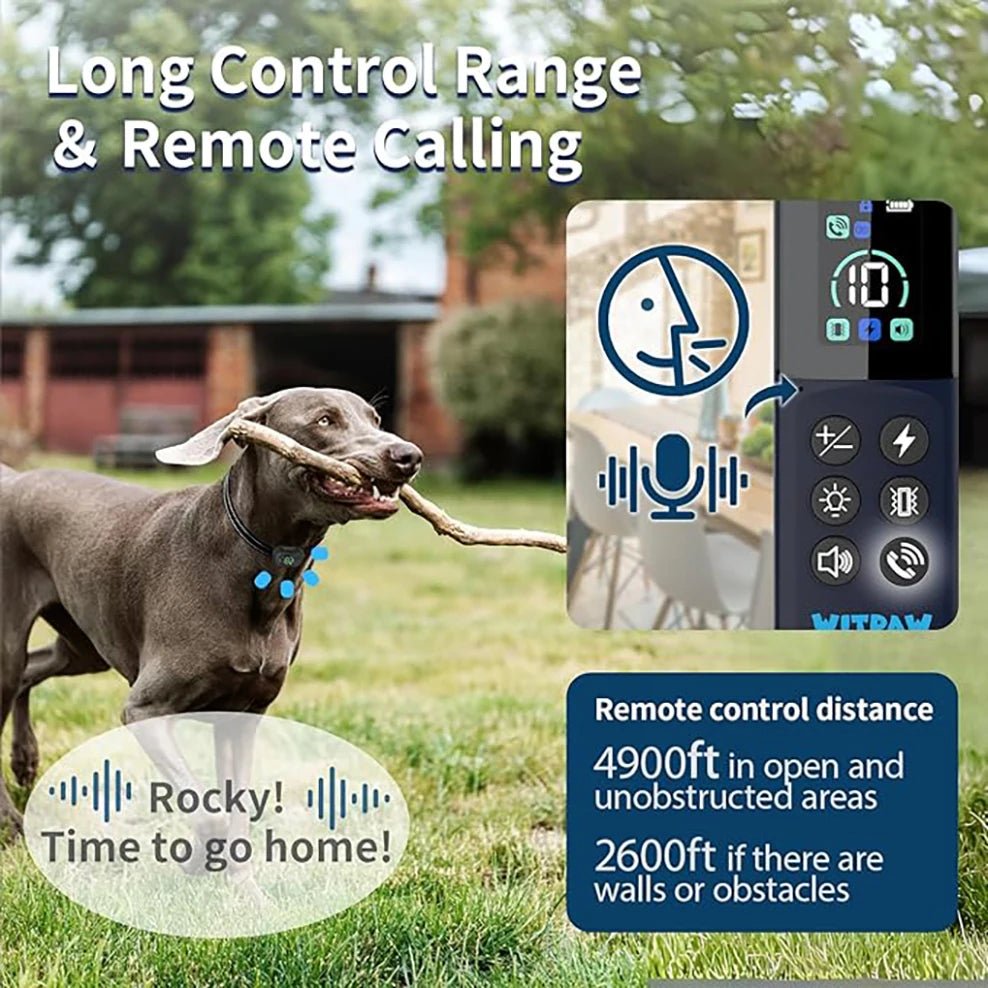 Dog with a remote control device in an outdoor setting, showcasing long control range and remote calling features.