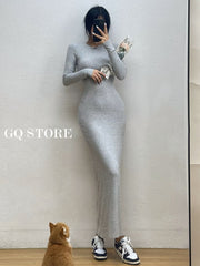Ladies Round Neck Long Sleeve Maxi Long Slim Dress