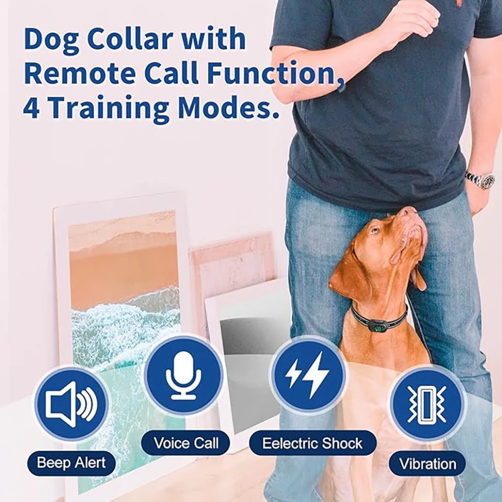 Dog collar with remote call function and 4 training modes displayed on a person and dog.