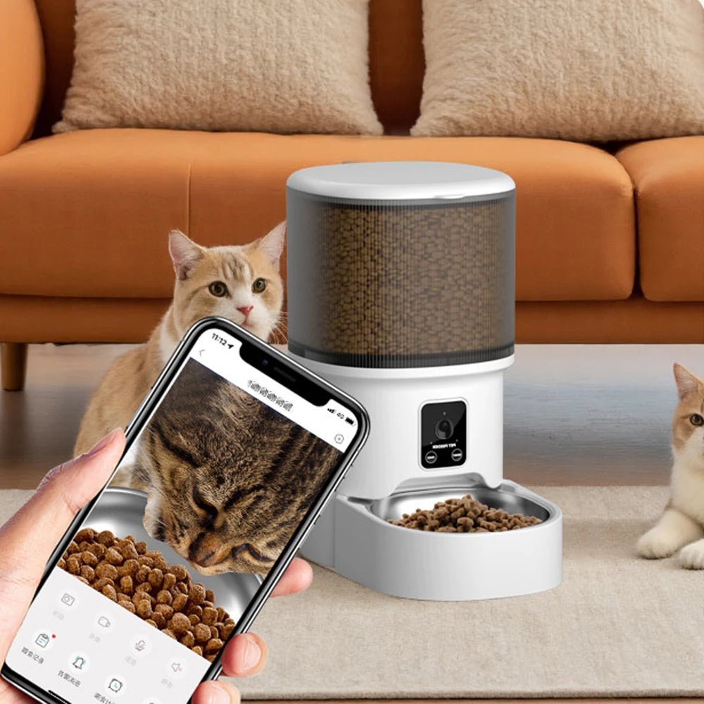 Smart pet feeder with a phone app interface, cats around, and an orange couch in the background.