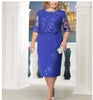 Plus Size Lace Evening Dress Women Elegant Mother of Bride Round Neck Wedding Guest Party Fashion
