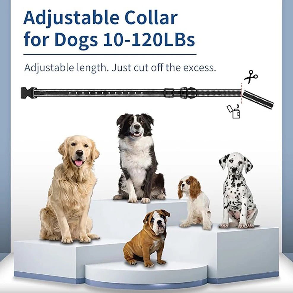 Adjustable dog collar with text and images of dogs on a white background