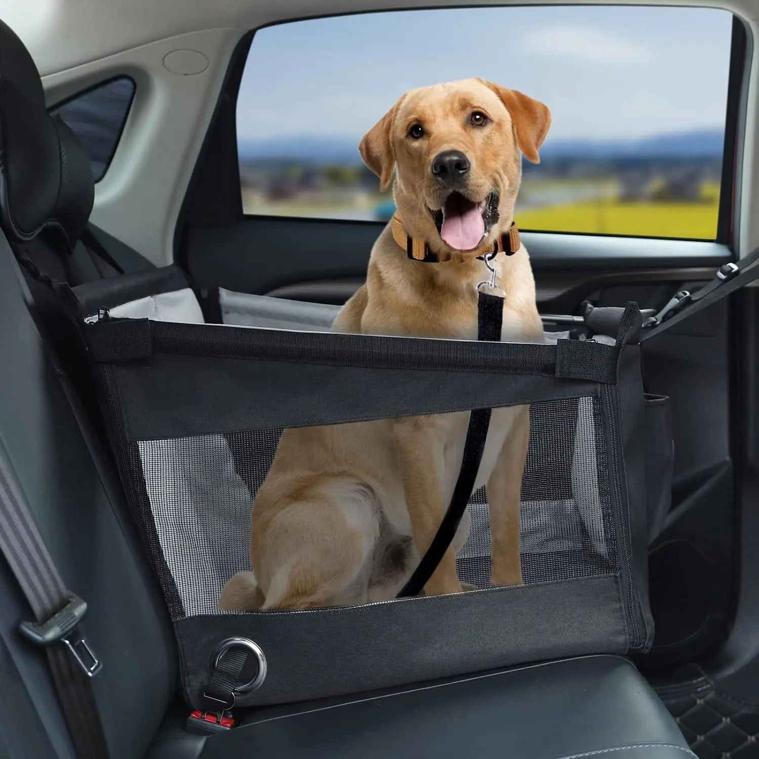 Dog sitting in a car seat with a pet safety barrier, looking out the window.