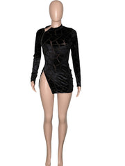 Women's Sexy Transparent Velvet Dress Long Sleeve Zipper Bodycon Mini Dress