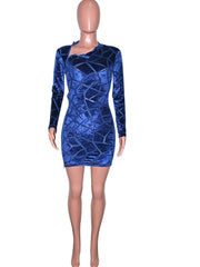 Women's Sexy Transparent Velvet Dress Long Sleeve Zipper Bodycon Mini Dress